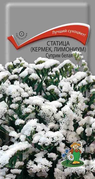 Статица (лимониум)_Суприм белая_0,2_г._Поиск