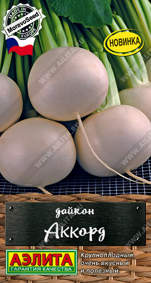 Дайкон_Аккорд_1_г._Аэлита