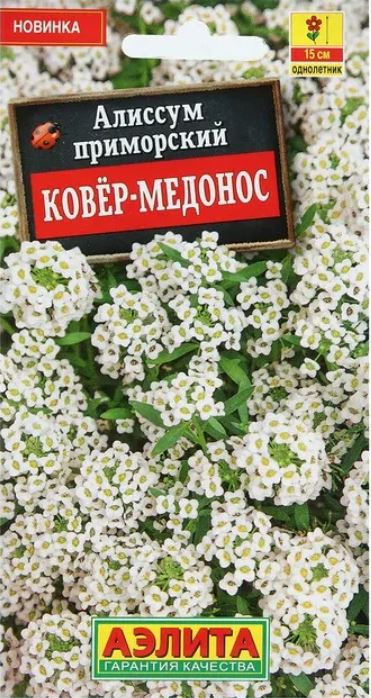 Алиссум (лобулярия)_Ковёр Медонос_0,1_г._Аэлита