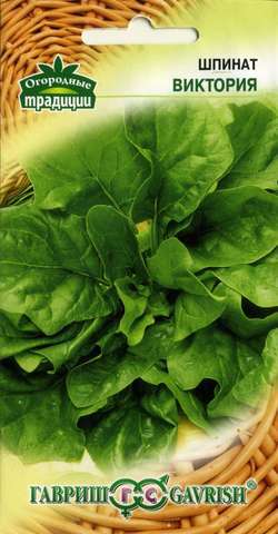 Шпинат_Виктория_2_г._Гавриш