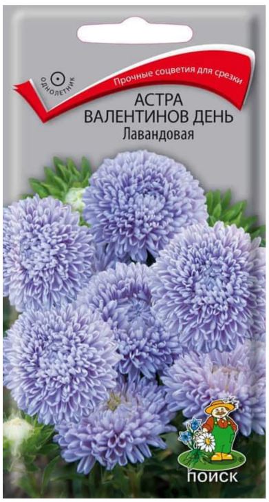 Астра_Валентинов день Лавандовая (пионовидная)_0,2_г._Поиск