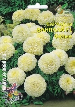 Бархатцы (тагетис)_Ванилла F1 (белые)_4_шт._Дом Семян С-П