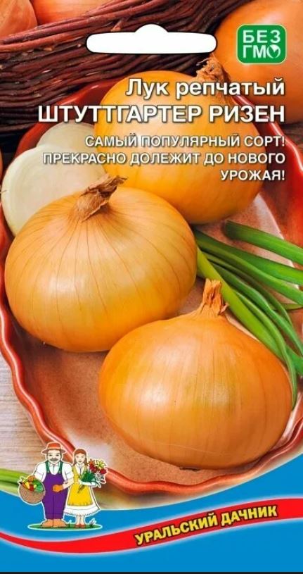 Лук_Штутгартер Ризен репка_0,04_г._Уральский Дачник