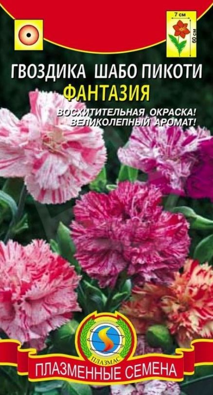 Гвоздика_Фантазия (шабо пикоти)_0,04_г._Плазменные семена