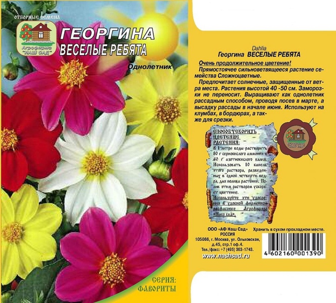 Георгин_Веселые ребята см_0,5_г._Наш Сад