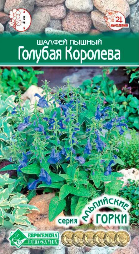Сальвия (шалфей)_Голубая Королева (пышный) (Альпийская Горка)_0,04_шт._ЕВРОСЕМЕНА