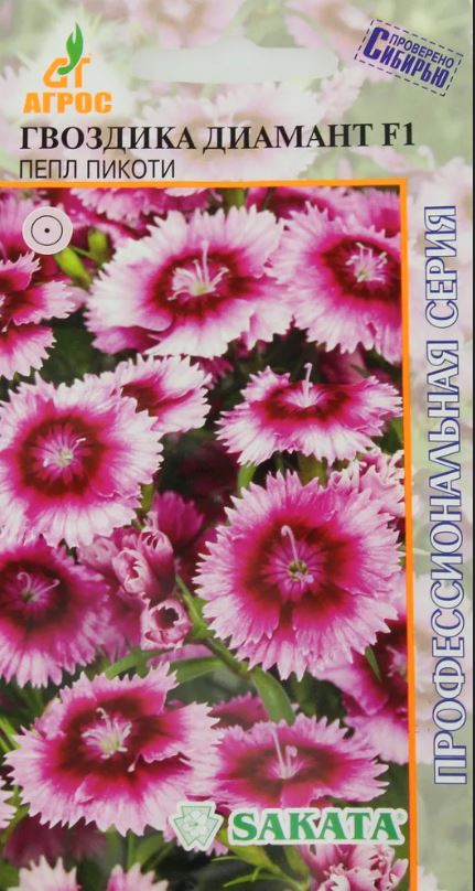 Гвоздика_Диамант F1 Пепл Пикоти (Sakata проф серия)_10_шт._АГРОС