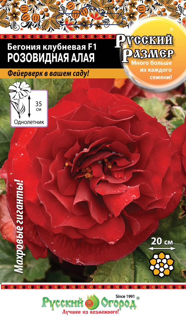 Бегония_Русский Размер Розовидная Алая F1 (клубн)_5_шт._НК