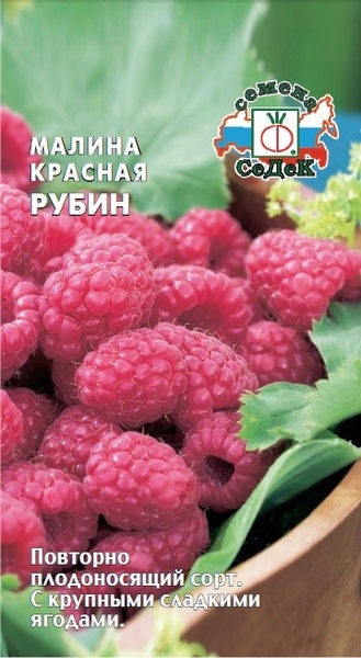 Малина_Красная Рубин_0,1_г._Седек