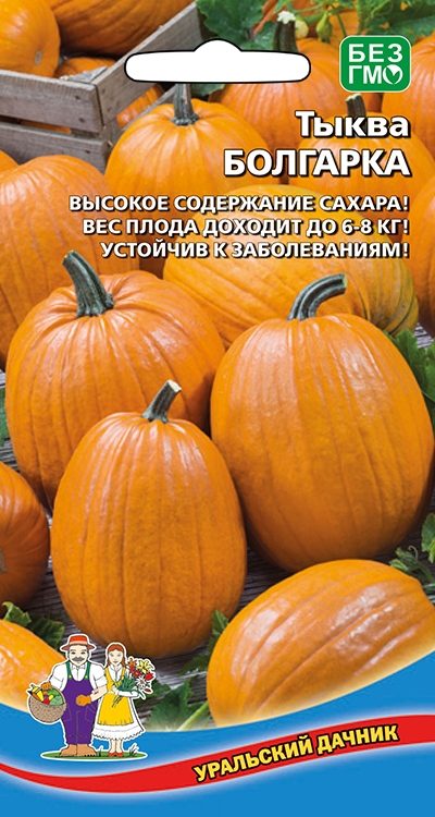 Тыква_Болгарка_6_шт._Уральский Дачник