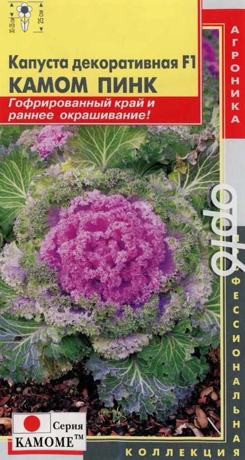 Капуста_декоративная_Камом Пинк F1_0,04_шт._Плазменные семена