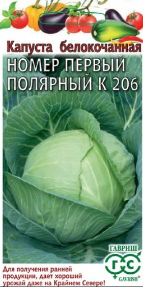 Капуста_б/к_Номер первый полярный К 206 (ранняя)_0,04_г._Гавриш