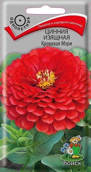 Цинния_Кровавая Мэри_0,4_г._Поиск