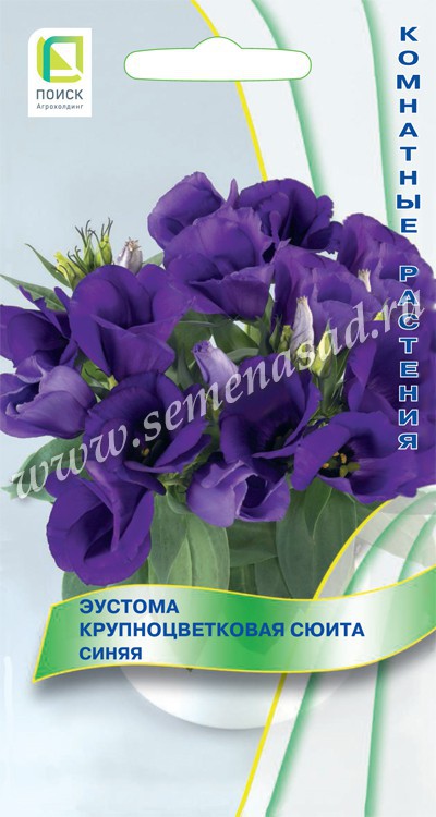 Эустома (Лизиантус)_Сюита Синяя крупноцв_5_шт._Поиск