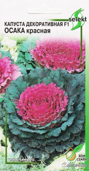 Капуста_декоративная_Осака красная F1_10_шт._Дом Семян С-П