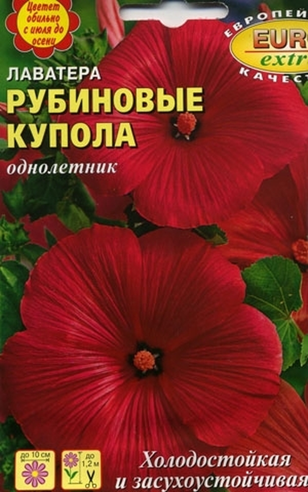 Лаватера (хатьма)_Рубиновые купола_0,1_г._Аэлита Э