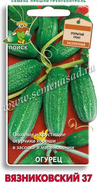 Огурец_Вязниковский_15_шт._Поиск