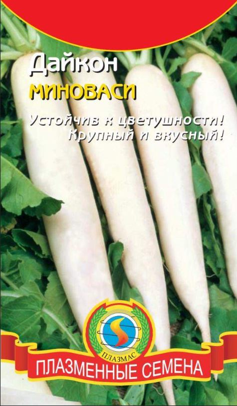 Дайкон_Миновасе_0,04_г._Плазменные семена
