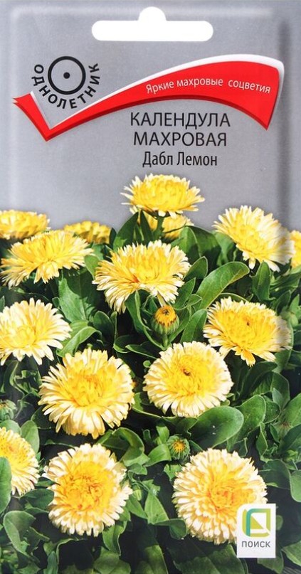 Календула (ноготки)_Дабл Лемон_0,1_г._Поиск