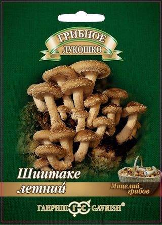 Мицелий_Шиитаке Летний на древесной палочке б/ф_12_шт._Гавриш