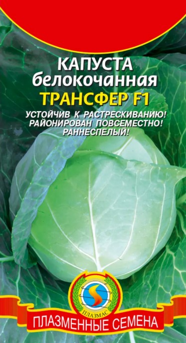 Капуста_б/к_Трансфер F1 (у/ск)_0,1_г._Плазменные семена
