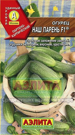Огурец_Наш парень F1_10_шт._Аэлита