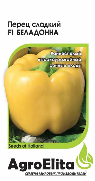 Герань (Пеларгония)_Саммертайм см (амп плющелистная) (Британская коллекция)_3_шт._Аэлита