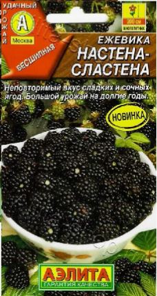 Ежевика_Настена-Сластена_15_шт._Аэлита