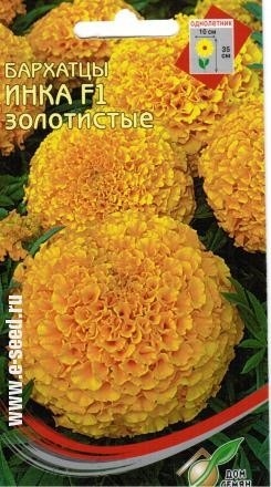 Бархатцы (тагетис)_Инка лимонные_5_шт._Дом Семян С-П