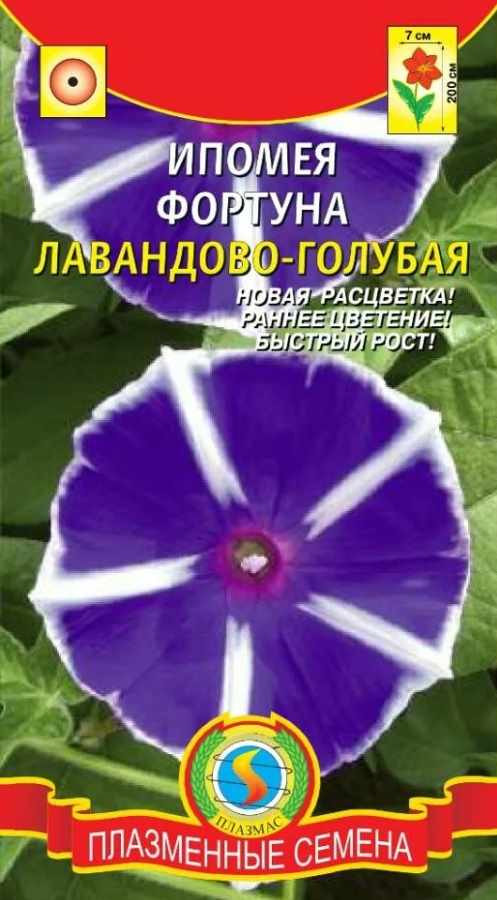 Ипомея_Фортуна Лавандово-голубая_0,04_шт._Плазменные семена