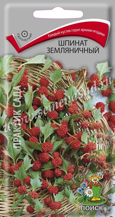 Шпинат_Земляничный_0,1_г._Поиск