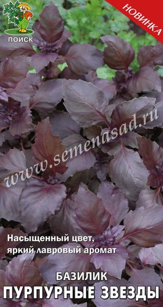 Базилик_Пурпурные звёзды (фиолетовый)_0,1_г._Поиск