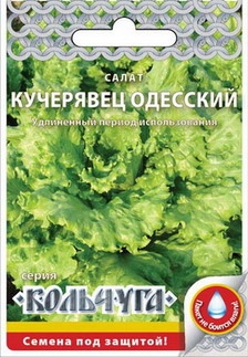 Салат_Кучерявец Одесский (п/кочан) (кольчуга)_1_г._НК