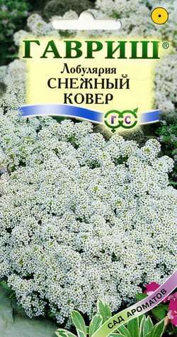 Алиссум (лобулярия)_Снежный ковер_0,1_г._Гавриш