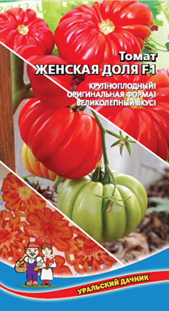 Уральский дачник каталог семян. Томат женская доля f1 Уральский Дачник. Томат женская доля f1. Томат женская доля семена Алтая. Томаты Уральский Дачник каталог.