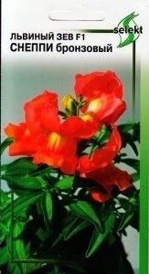 Львиный зев (антирринум)_Снеппи бронзовый_15_шт._Дом Семян С-П