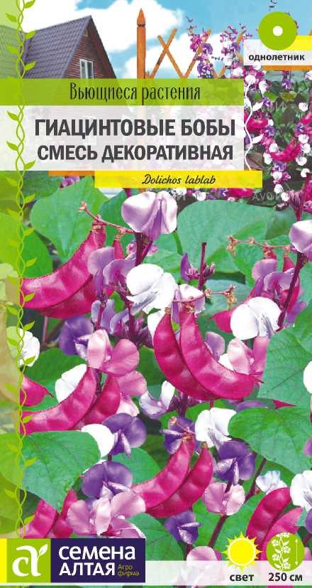 Бобы_Гиацинтовые (долихос) см_1_г._Семена Алтая