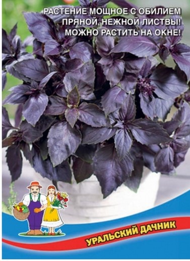 Базилик_Арамис (фиолетовый)_0,3_г._Уральский Дачник