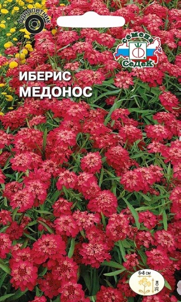 Иберис_Красный Медонос_0,2_г._Седек