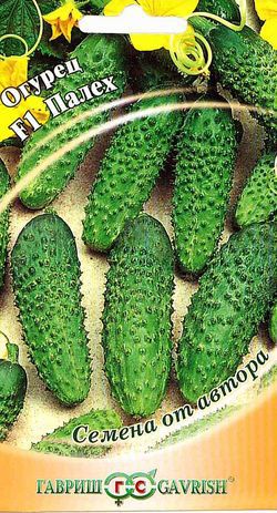Огурец_Палех F1_10_шт._Гавриш