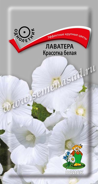 Лаватера (хатьма)_Красотка белая_0,3_г._Поиск