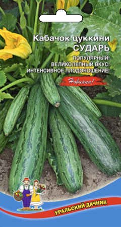 Кабачок_Сударь (цуккини)_2_г._Уральский Дачник