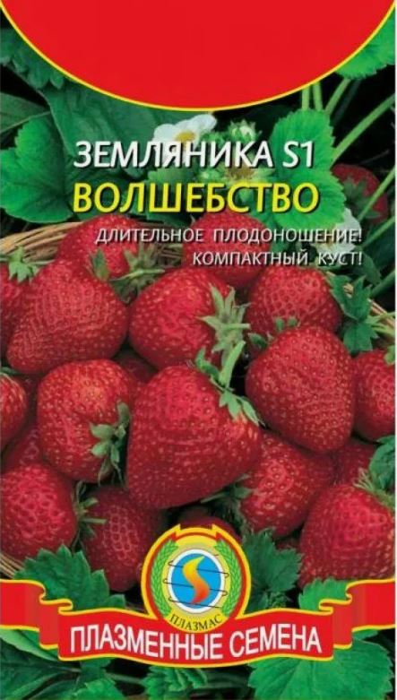 Земляника_Волшебство S1_10_шт._Плазменные семена