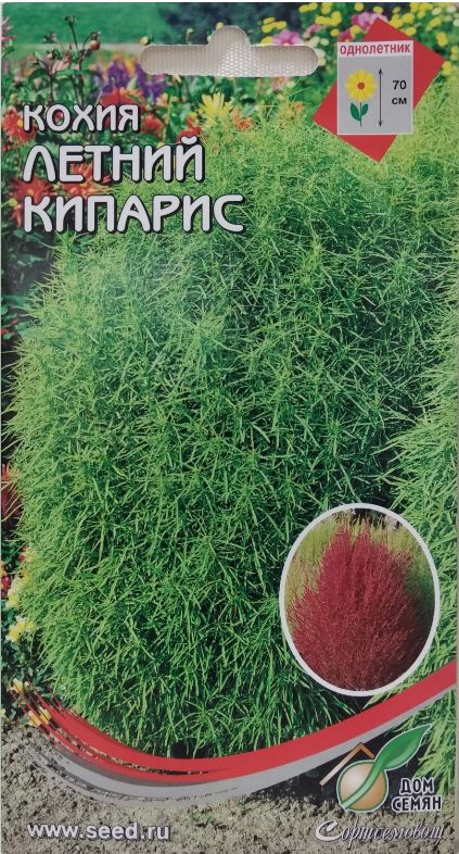 Кохия_Летний кипарис_70_шт._Дом Семян С-П