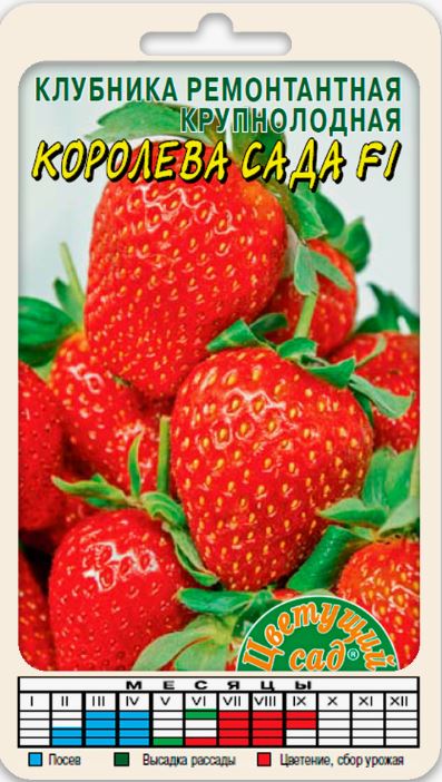 Земляника_Королева Сада (кл)_5_шт._Цветущий Сад
