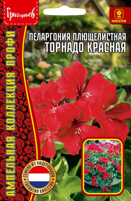 Герань (Пеларгония)_Торнадо Красная (плющелистная) б/ф_3_шт._Григорьев