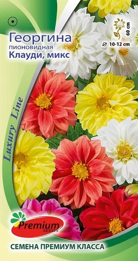 Георгин_Клауди см_0,2_г._Премиум Сидс