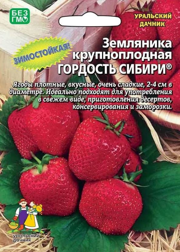 Земляника_Гордость Сибири (кл) б/ф_10_шт._Уральский Дачник