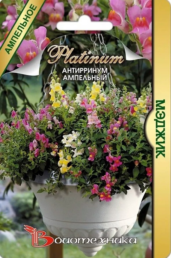 Львиный зев (антирринум)_Мэджик см (амп)_20_шт._Биотехника