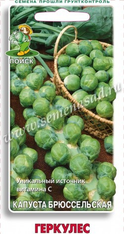 Капуста_брюссельская_Геркулес (ср)_0,5_г._Поиск